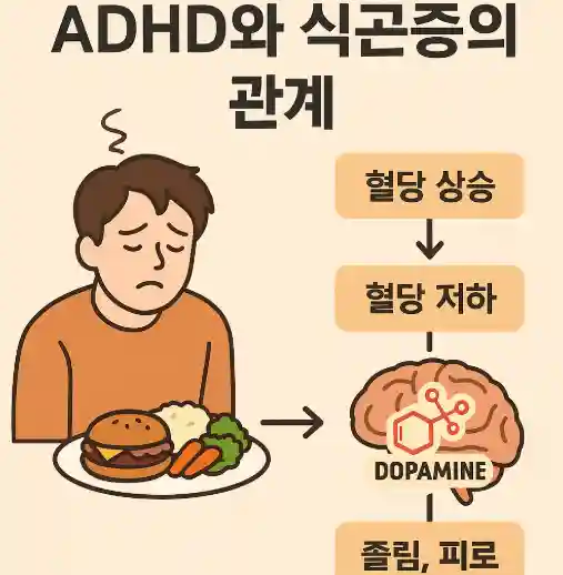 ADHD와 식곤증, 왜 ADHD는 식곤증이 심할까?